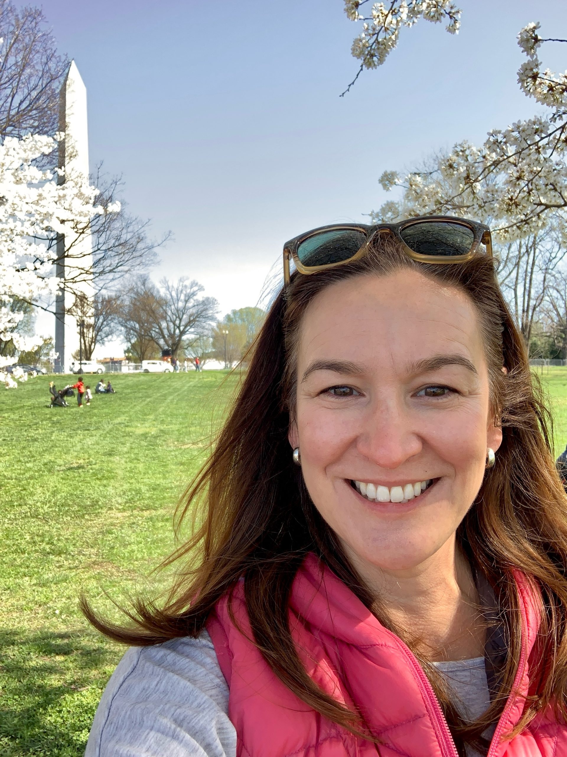 Wash-Monument-Cherry-1-5